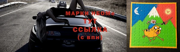 ГАЛЛЮЦИНОГЕННЫЕ ГРИБЫ Бородино