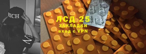 ГАЛЛЮЦИНОГЕННЫЕ ГРИБЫ Бородино