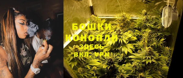 ГАЛЛЮЦИНОГЕННЫЕ ГРИБЫ Бородино