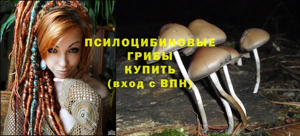 ГАЛЛЮЦИНОГЕННЫЕ ГРИБЫ Бородино