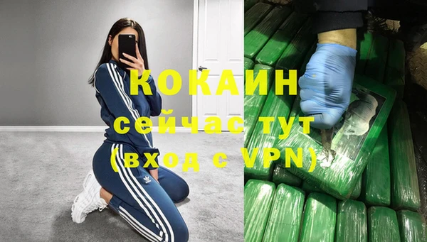 ГАЛЛЮЦИНОГЕННЫЕ ГРИБЫ Бородино