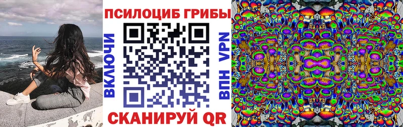 Псилоцибиновые грибы Psilocybine cubensis закладки Челябинск